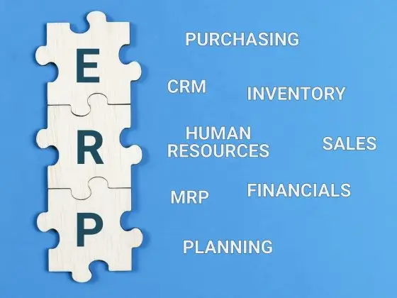 A Guide To Choosing the Ideal ERP System in 2024